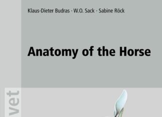 Anatomy Of The Horse 6Th Edition Pdf Download