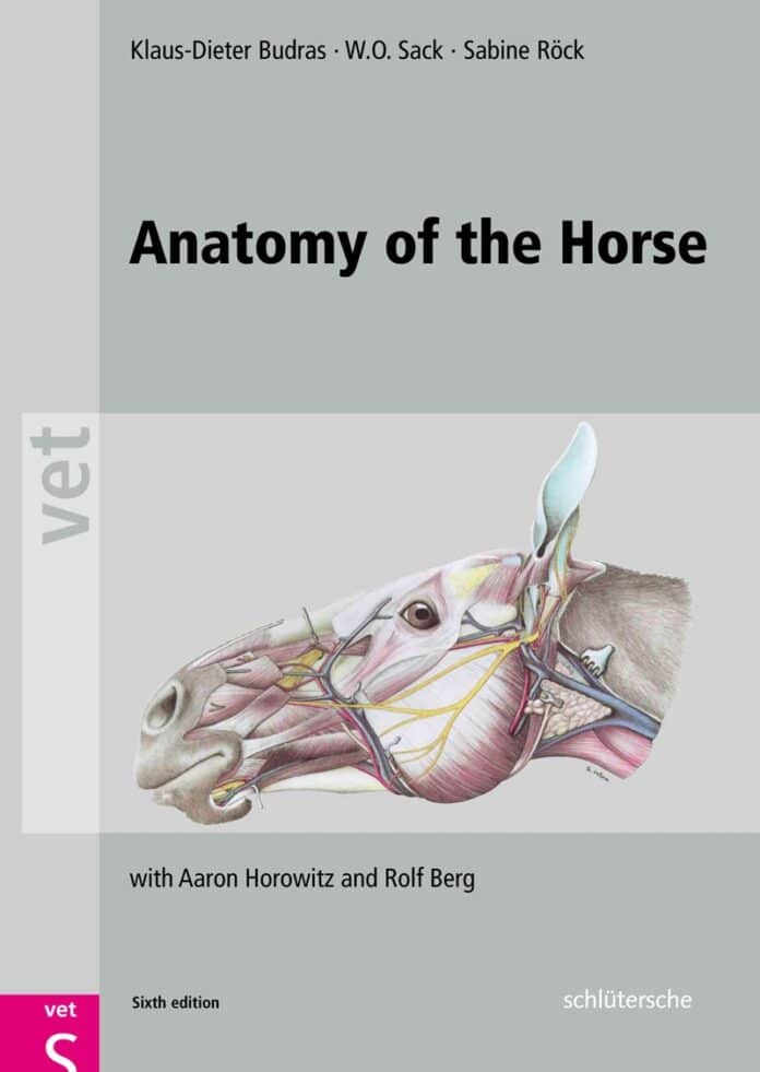 Anatomy of the Horse 6th Edition PDF Download