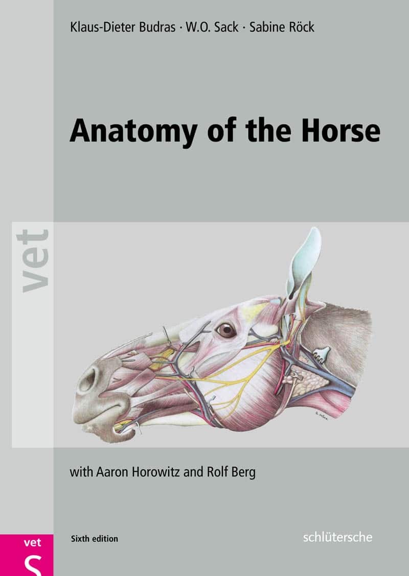 Anatomy Of The Horse 6Th Edition Pdf Download