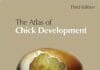 Atlas of chick development PDF