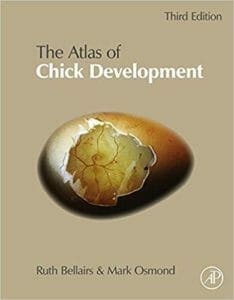 Atlas of Chick Development 3rd Edition By Ruth Bellairs and Mark Osmond