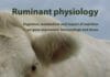 Ruminant Physiology: Digestion, Metabolism and Impact of Nutrition on Gene Expression, Immunology and Stress PDF