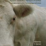 Ruminant Physiology: Digestion, Metabolism and Impact of Nutrition on Gene Expression, Immunology and Stress PDF