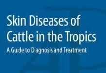 Skin Diseases of Cattle in the Tropics: A Guide to Diagnosis and Treatment PDF