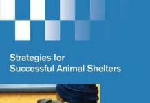Strategies for Successful Animal Shelters pdf