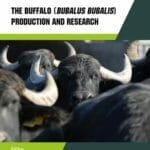 The Buffalo (Bubalus bubalis) Production and Research By Giorgio A. Presicce
