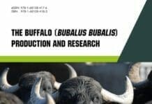 The Buffalo (Bubalus bubalis) Production and Research By Giorgio A. Presicce