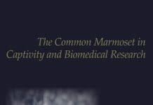 The Common Marmoset in Captivity and Biomedical Research PDF