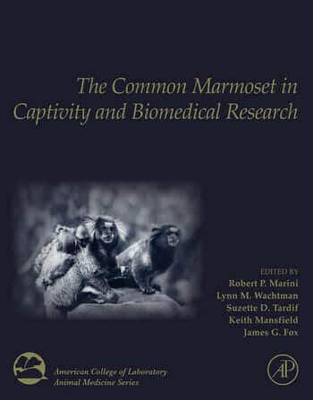 The Common Marmoset in Captivity and Biomedical Research PDF