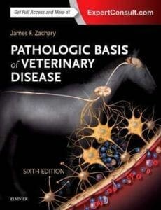 Pathologic Basis of Veterinary Disease 6th Edition PDF