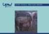 Physiology and Behaviour of Animal Suffering PDF