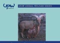 Physiology and Behaviour of Animal Suffering PDF