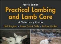 Practical Lambing and Lamb Care: A Veterinary Guide 4th Edition PDF