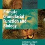 Primate Craniofacial Function and Biology pdf