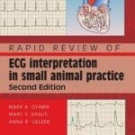Rapid Review of ECG Interpretation in Small Animal Practice PDF