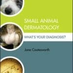 Small Animal Dermatology: What's Your Diagnosis?