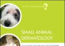 Small Animal Dermatology: What's Your Diagnosis?