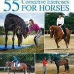 55 corrective exercises for horses pdf