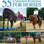 55 corrective exercises for horses pdf