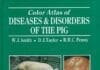 A Colour Atlas of Diseases and Disorders of the Pig PDF