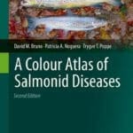 A Colour Atlas of Salmonid Diseases 2nd Edition PDF