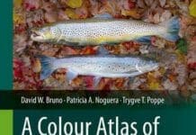 A Colour Atlas of Salmonid Diseases 2nd Edition PDF