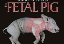 A Dissection Guide and Atlas to the Fetal Pig PDF