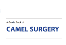 A Guide Book of Camel Surgery pdf