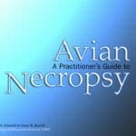 A Practitioner’s Guide to Avian Necropsy pdf