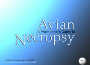 A Practitioner’s Guide To Avian Necropsy Pdf