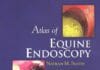 Atlas of Equine Endoscopy PDF By Nathan M. Slovis