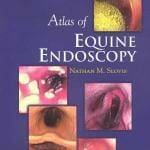 Atlas of Equine Endoscopy PDF By Nathan M. Slovis