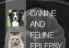 Canine and Feline Epilepsy: Diagnosis and Management PDF