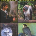 Captive Raptor: Management and Rehabilitation