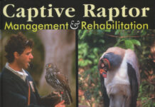 Captive Raptor: Management and Rehabilitation Captive Raptor: Management and Rehabilitation