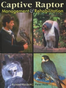 Captive Raptor: Management and Rehabilitation