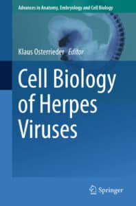 Cell Biology Of Herpes Viruses Book Pdf