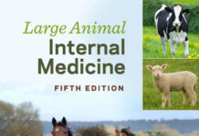 Large Animal Internal Medicine 5th edition Large Animal Internal Medicine 5th Edition by Bradford P. Smith book cover