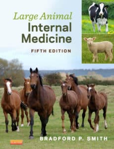 Large Animal Internal Medicine 5Th Edition By Bradford P. Smith Book Cover