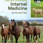 large-animal-internal-medicine-5th-edition