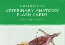 Saunders Veterinary Anatomy Flash cards pdf