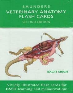 saunders veterinary anatomy flash cards pdf