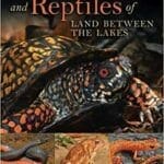 Amphibians and Reptiles of Land Between the Lakes pdf