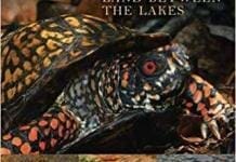 Amphibians and Reptiles of Land Between the Lakes pdf
