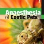 anesthesia-of-exotic-pets