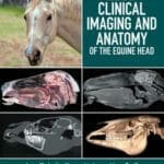 Atlas of Clinical Imaging and Anatomy of the Equine Head PDF