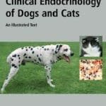 Clinical Endocrinology of Dogs and Cats: An Illustrated Text PDF