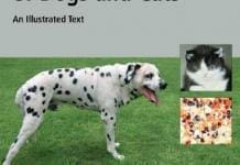 Clinical Endocrinology of Dogs and Cats: An Illustrated Text PDF