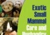 Exotic Small Mammal Care and Husbandry PDF