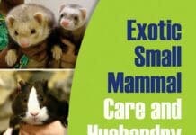 Exotic Small Mammal Care and Husbandry PDF